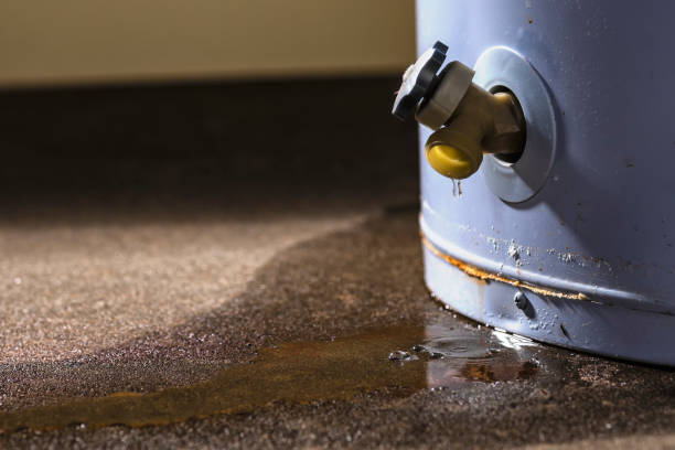  Callaway, MD Water damage restoration Pros