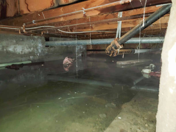 Best Fire Damage Restoration  in Callaway, MD