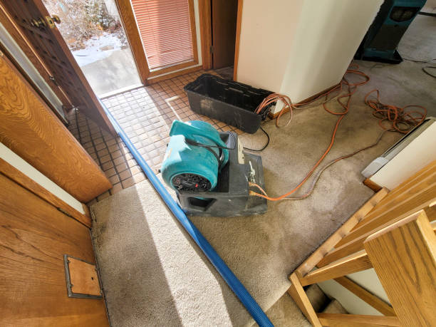 Best Emergency water damage restoration  in Callaway, MD