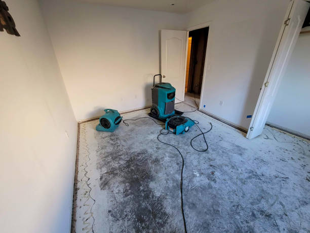 Carpet water damage restoration in Callaway, MD