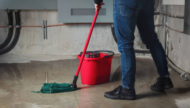 Best Ceiling water damage repair  in Callaway, MD