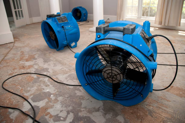 Trusted Callaway, MD Water damage restoration Experts