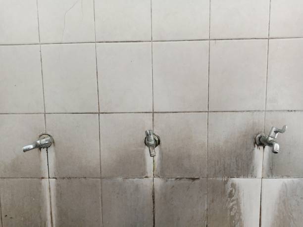 Best Basement water damage restoration  in Callaway, MD