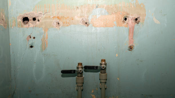 Best Flood restoration services  in Callaway, MD