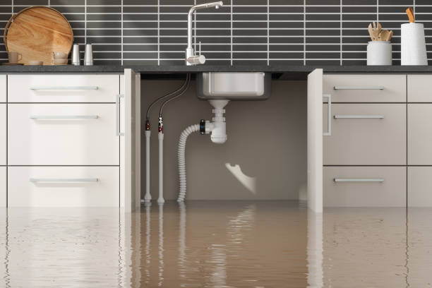 Best Water damage restoration insurance claims  in Callaway, MD